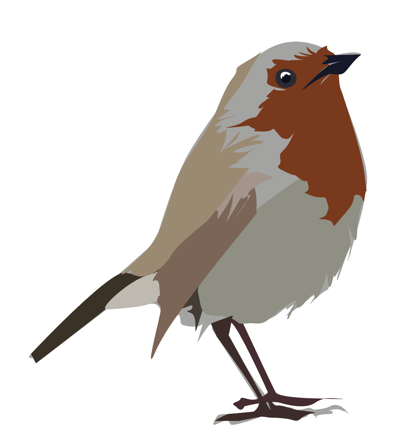 Bird 6